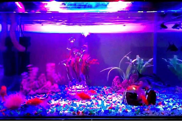 Светодиодная подсветка аквариума.jpg