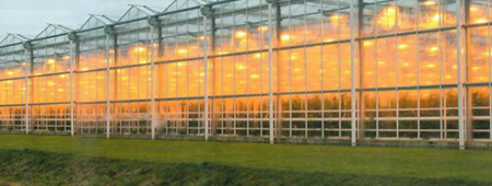 Светодиоды. Тернистый путь в теплицу. Светодиоды. Тернистый путь в теплицу.