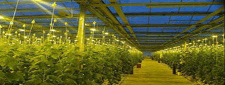 Оптические решения для сельского хозяйства Оптические решения для сельского хозяйства